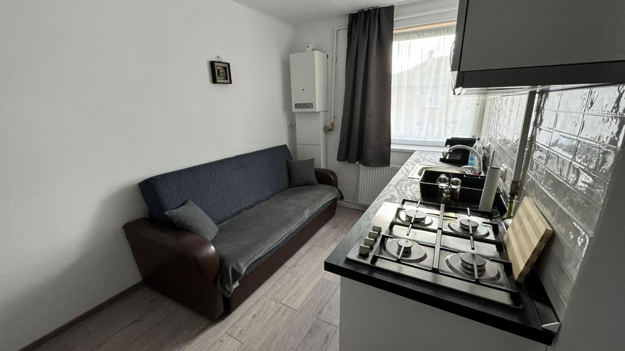 Refugiul Castelului Apartment Hunedoara Exterior photo